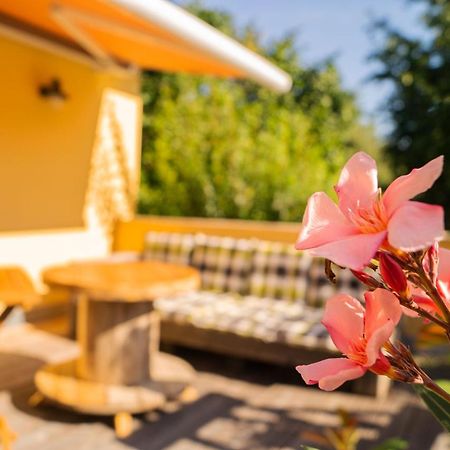 Apartment Sonnenschein Weimar  Eksteriør bilde